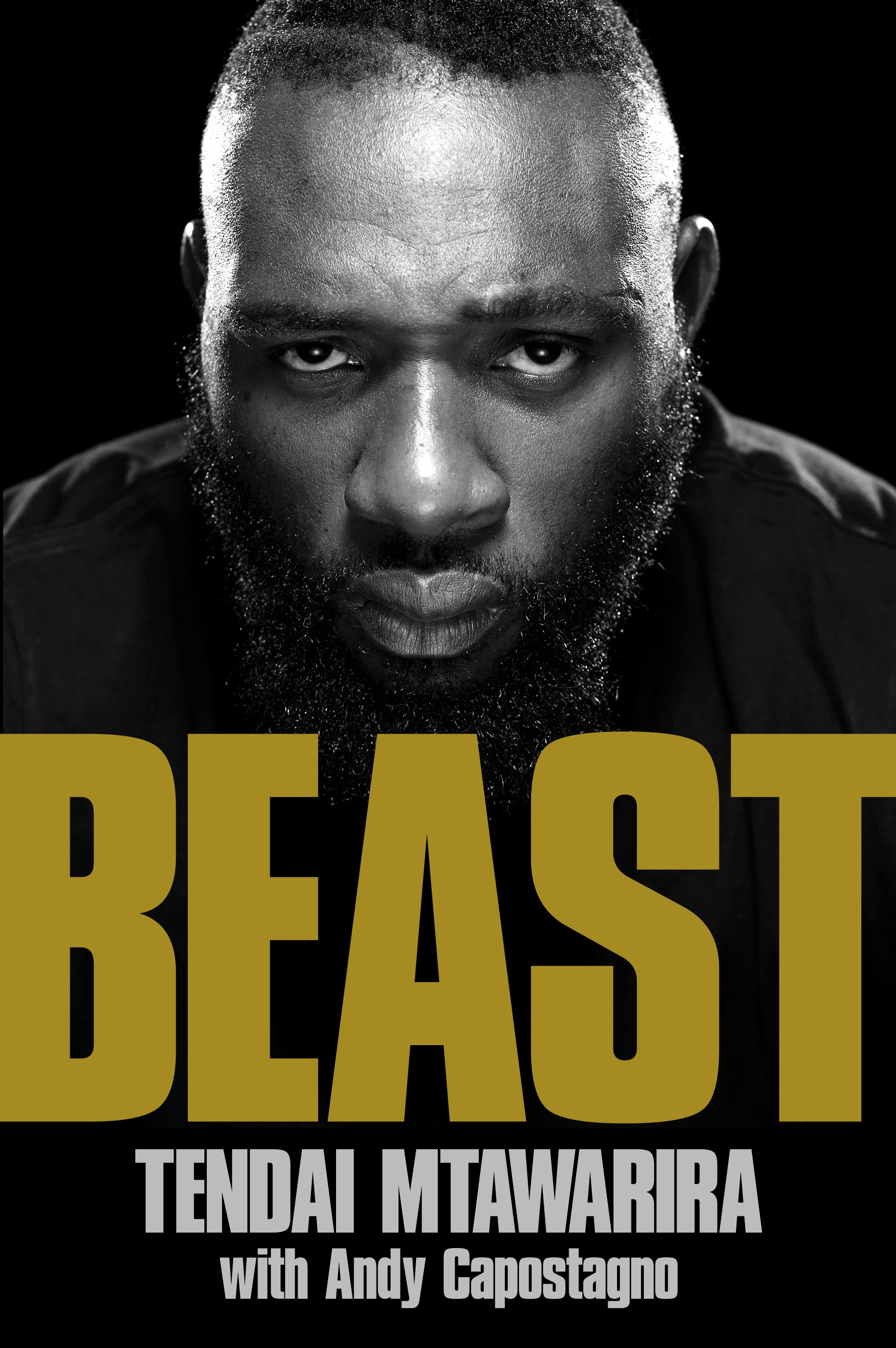 Book cover for Beast