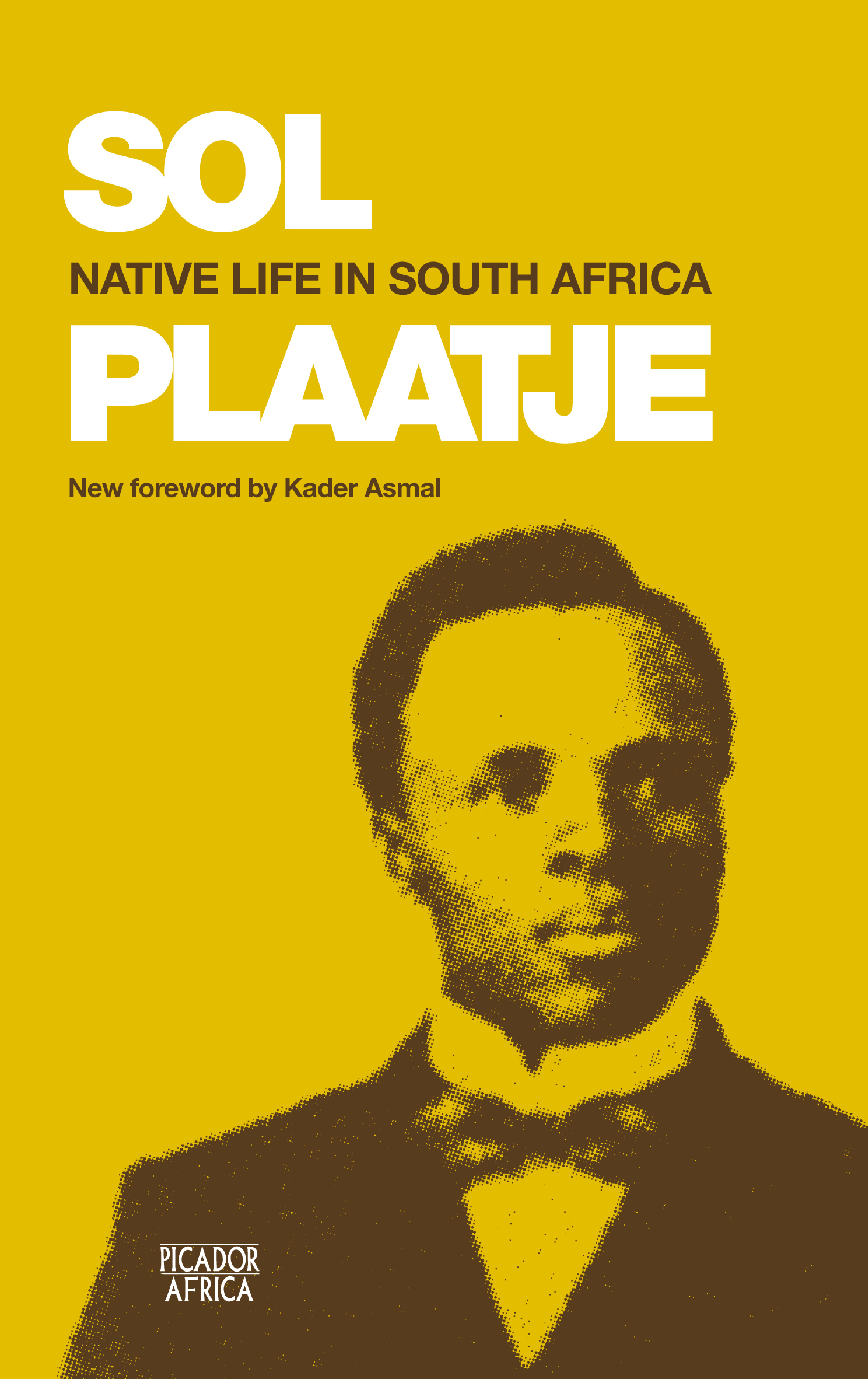 Native Life In South Africa book cover