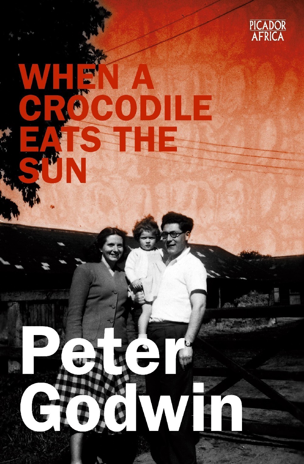 Book cover for When A Crocodile Eats the Sun by Peter Godwin