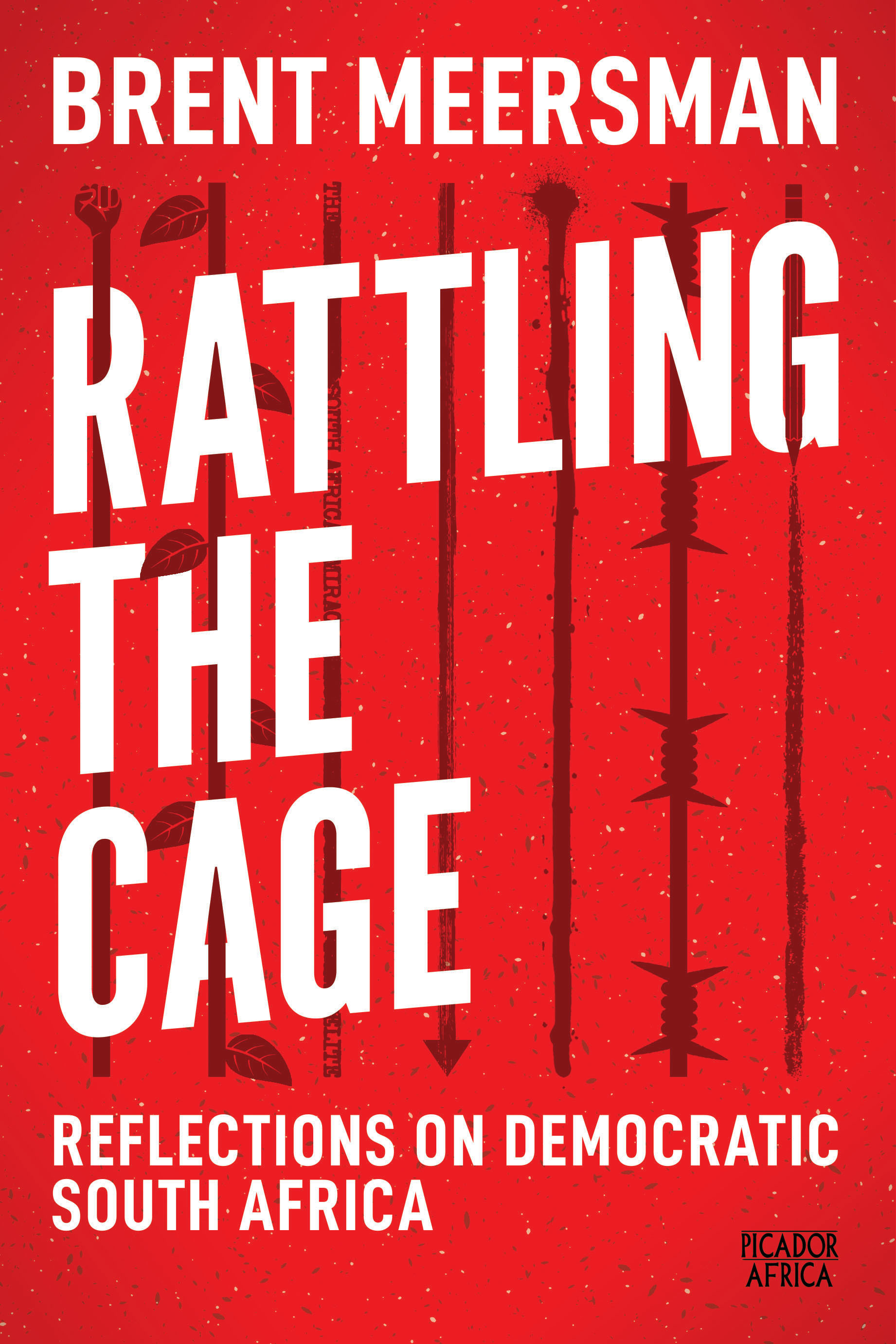 Book cover for Rattling the Cage: Reflections on Democratic South Africa