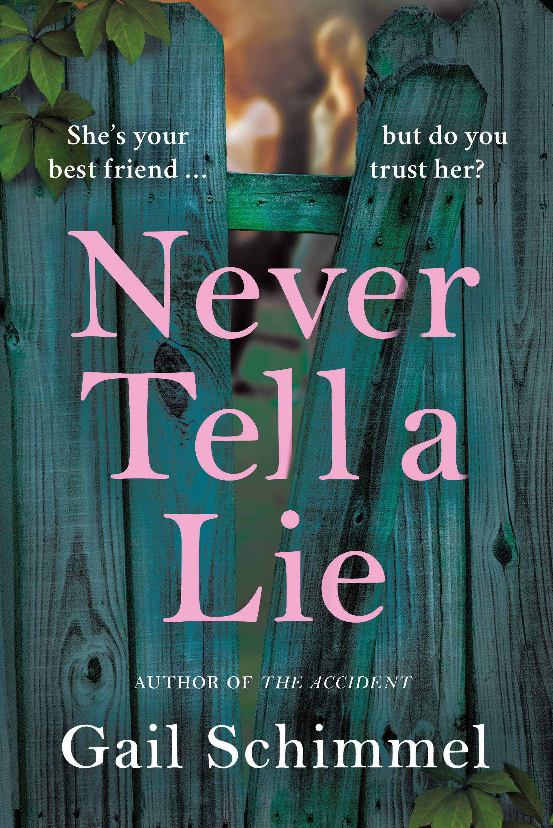 Book cover for Never Tell a Lie 
