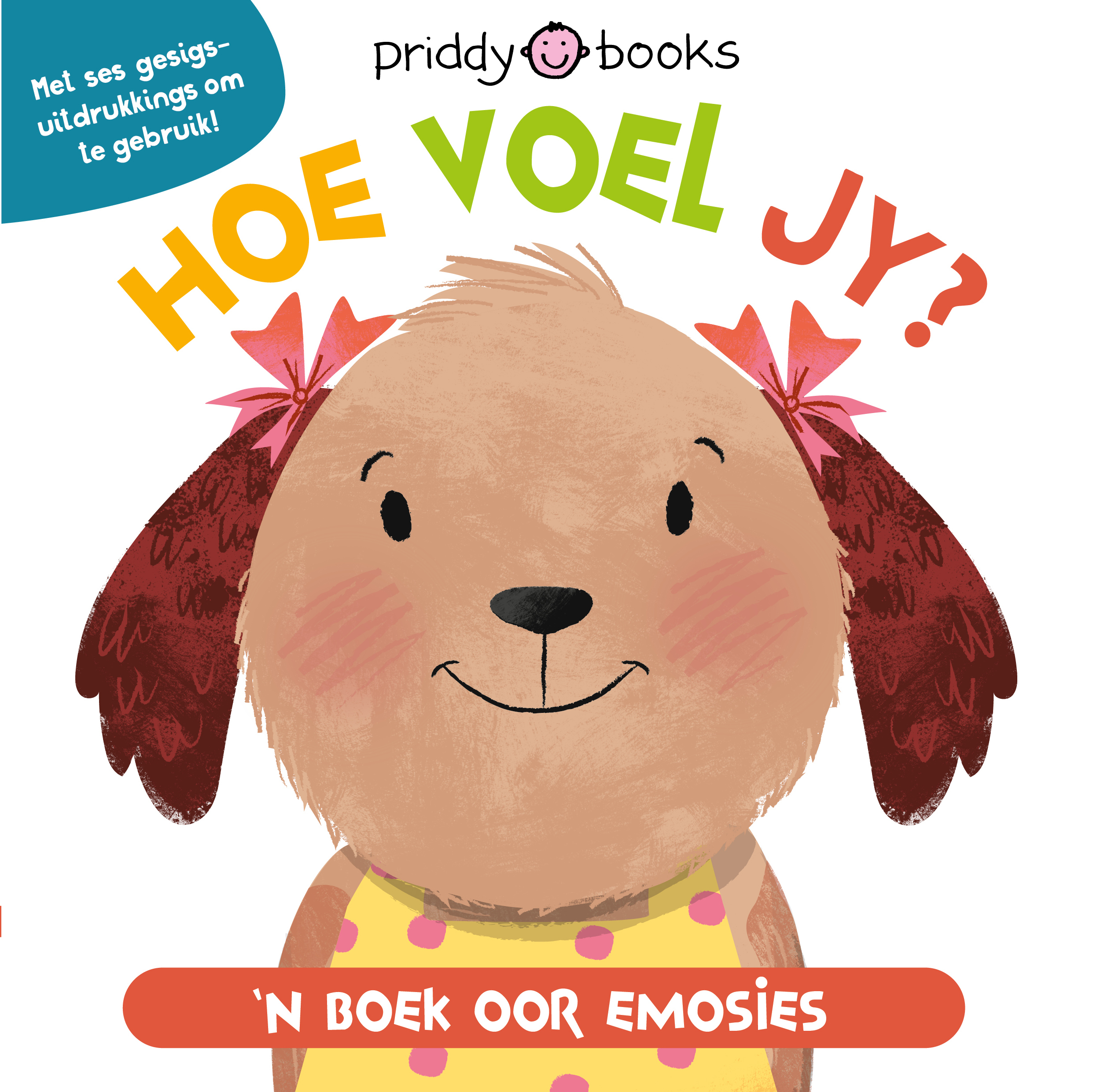 Hoe voel jy? book cover