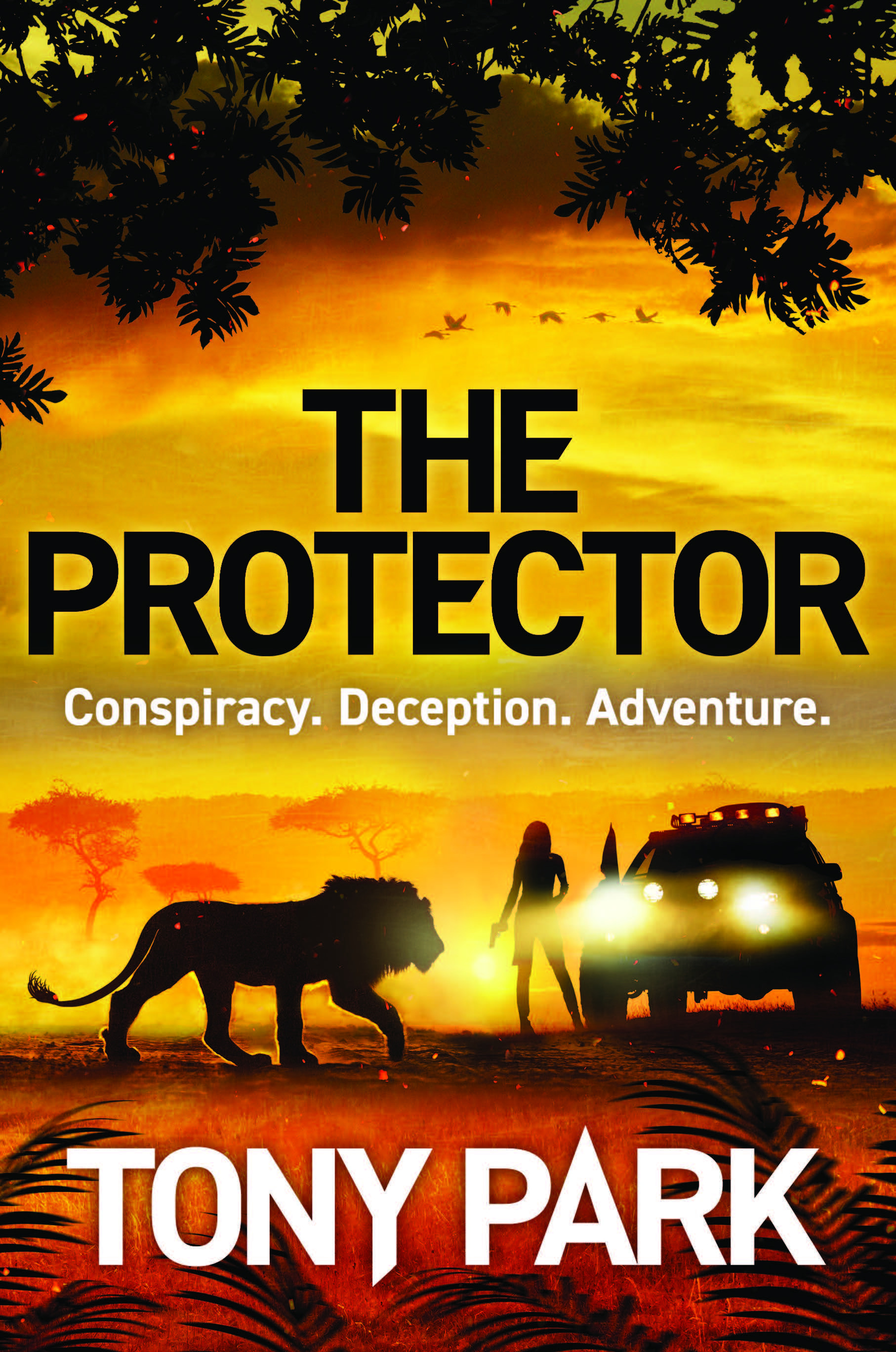 Book cover for The Protector by Tony Park