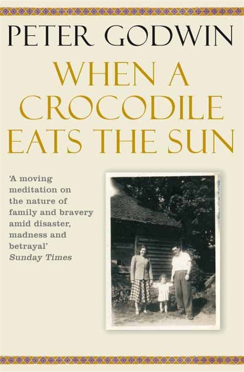 Book cover for When a Crocodile Eats the Sun