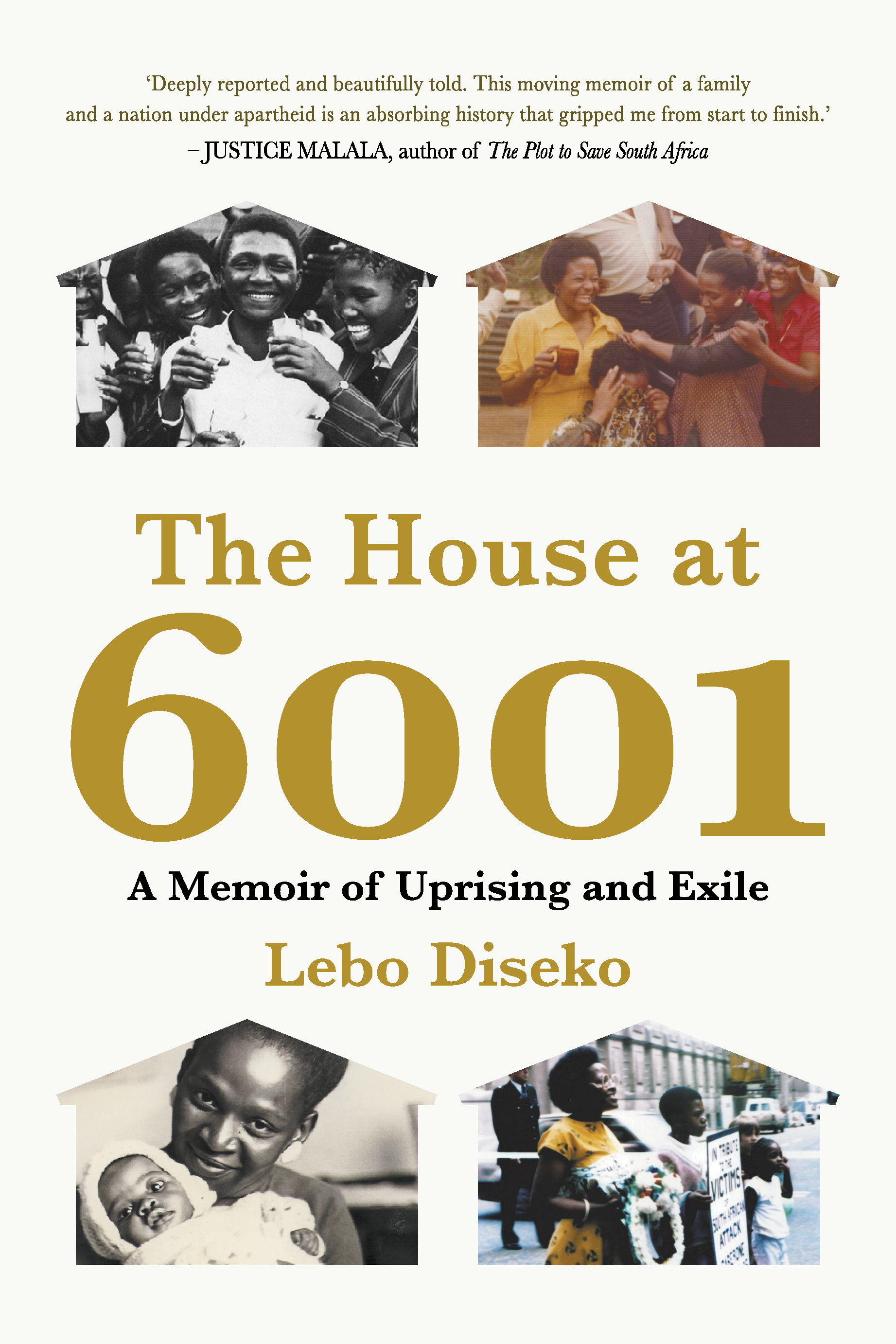 Book cover for The House at 6001