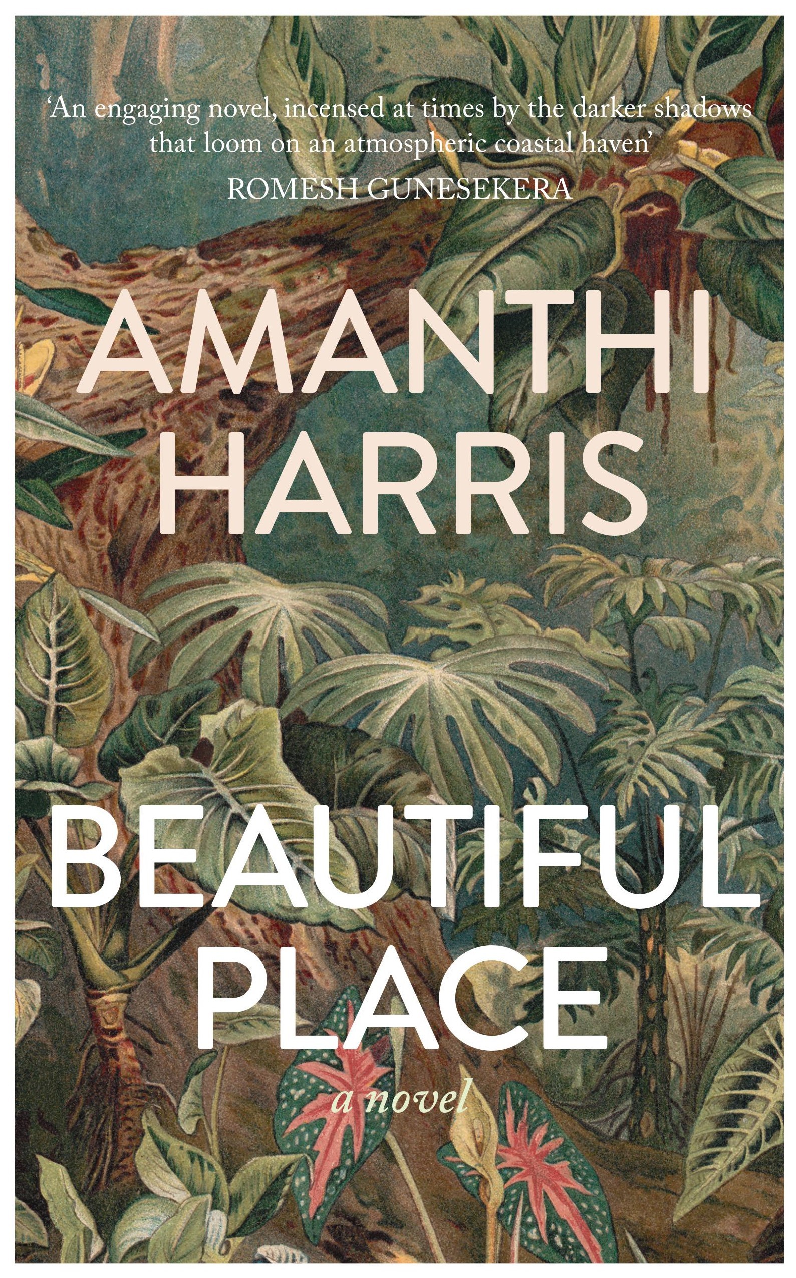 Book cover for Beautiful Place